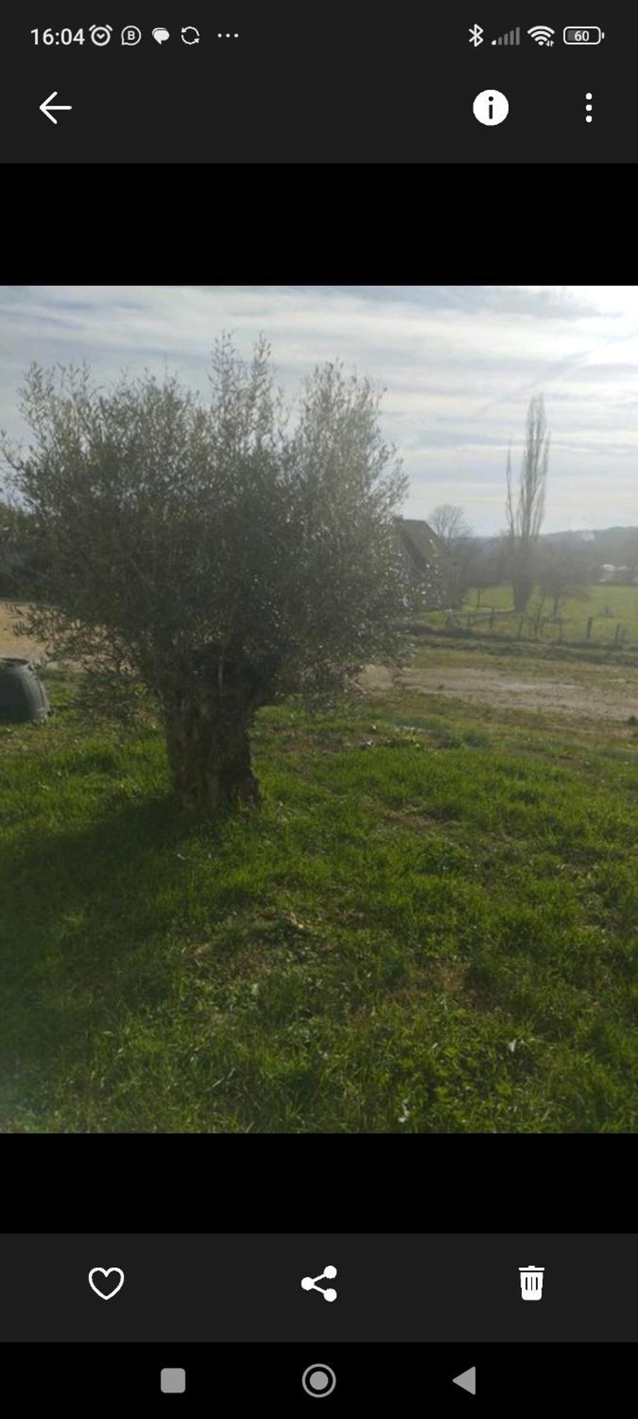 Domaine Des De La Plaine Apartment *