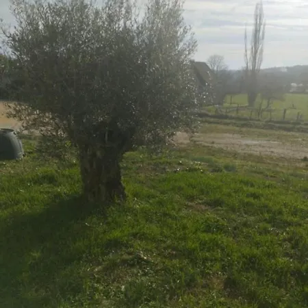 Domaine Des Gites De La Plaine Fajoles Exterior photo